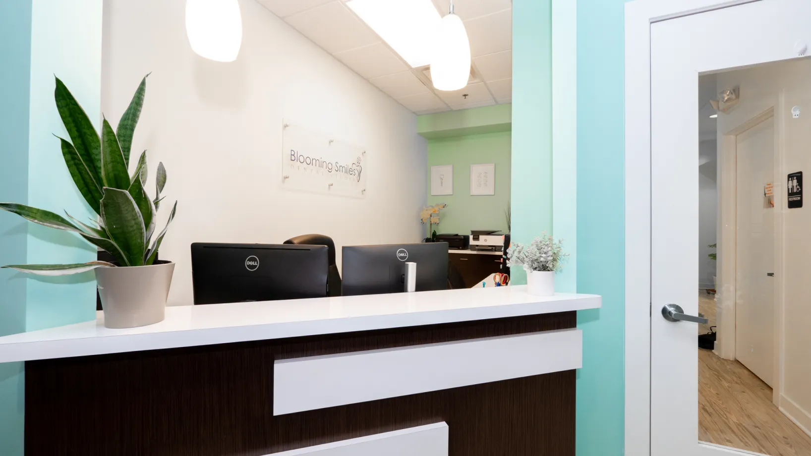 an office with a plant on the counter